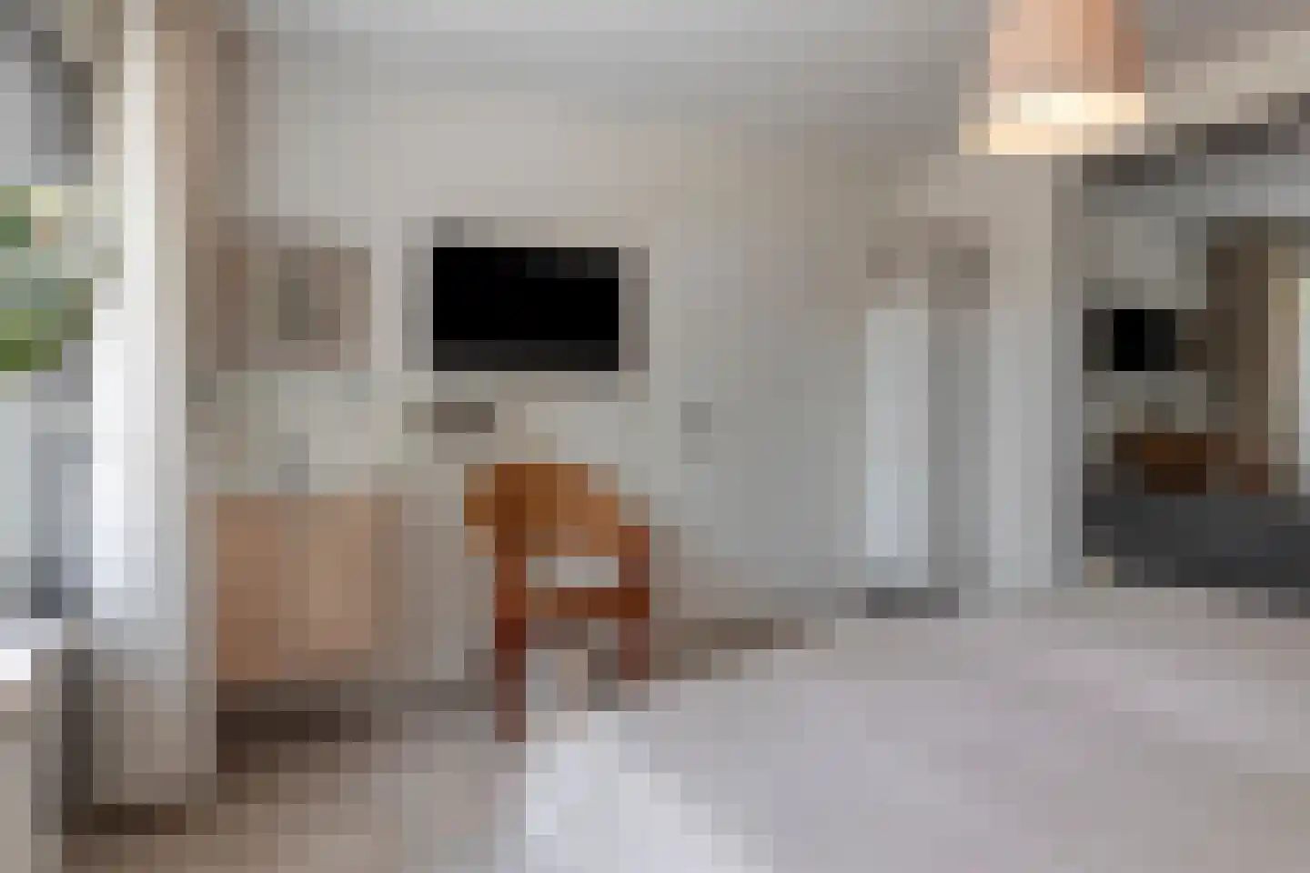 Kanunnik Daemenstraat 20 Mierlo thumbnail 27