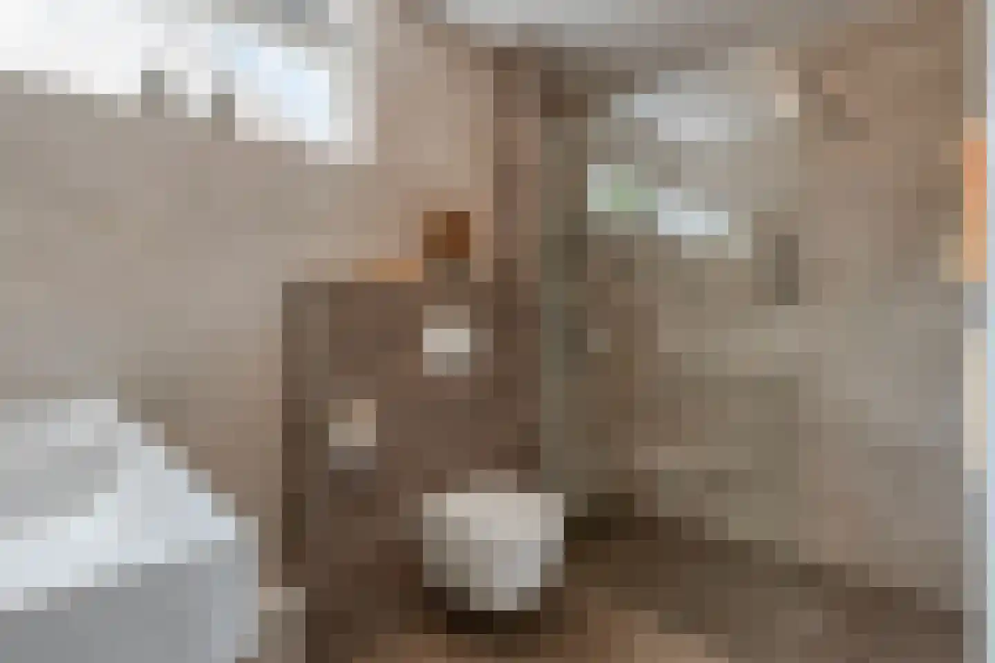 Kanunnik Daemenstraat 20 Mierlo thumbnail 32