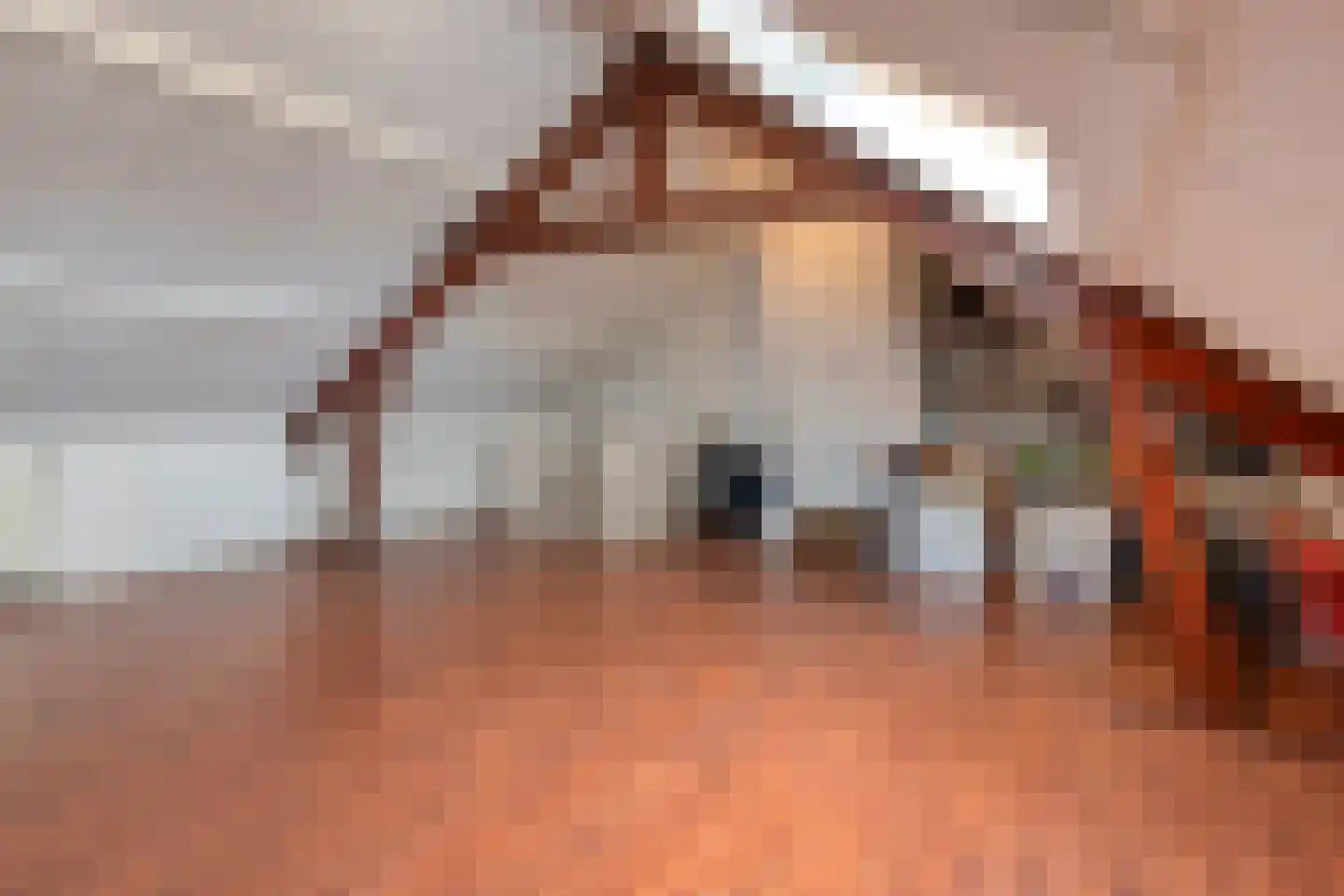 Kanunnik Daemenstraat 20 Mierlo thumbnail 37