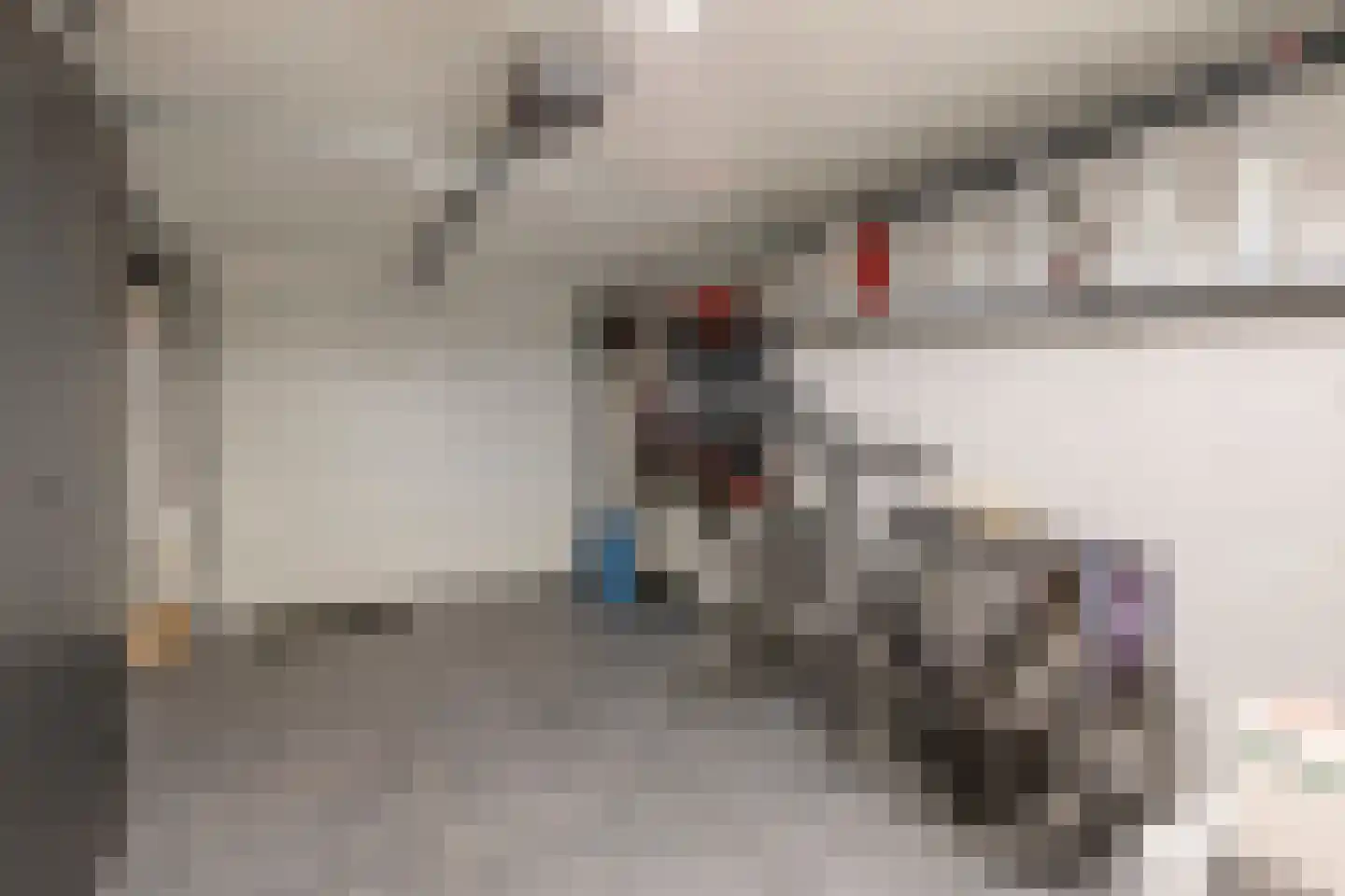 Kanunnik Daemenstraat 20 Mierlo thumbnail 39