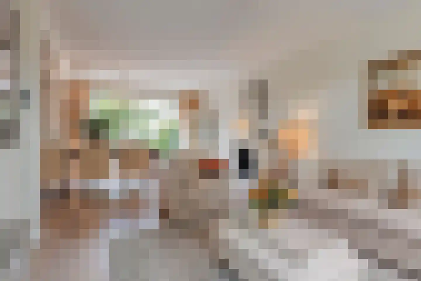Kanunnik Daemenstraat 20 Mierlo thumbnail 4