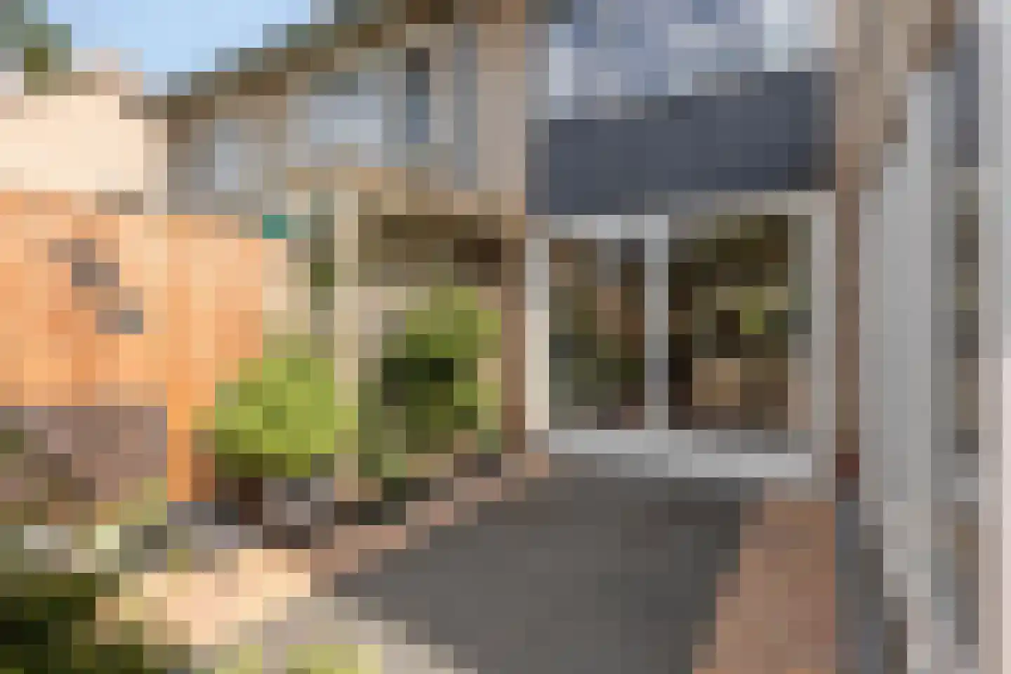 Kanunnik Daemenstraat 20 Mierlo thumbnail 42
