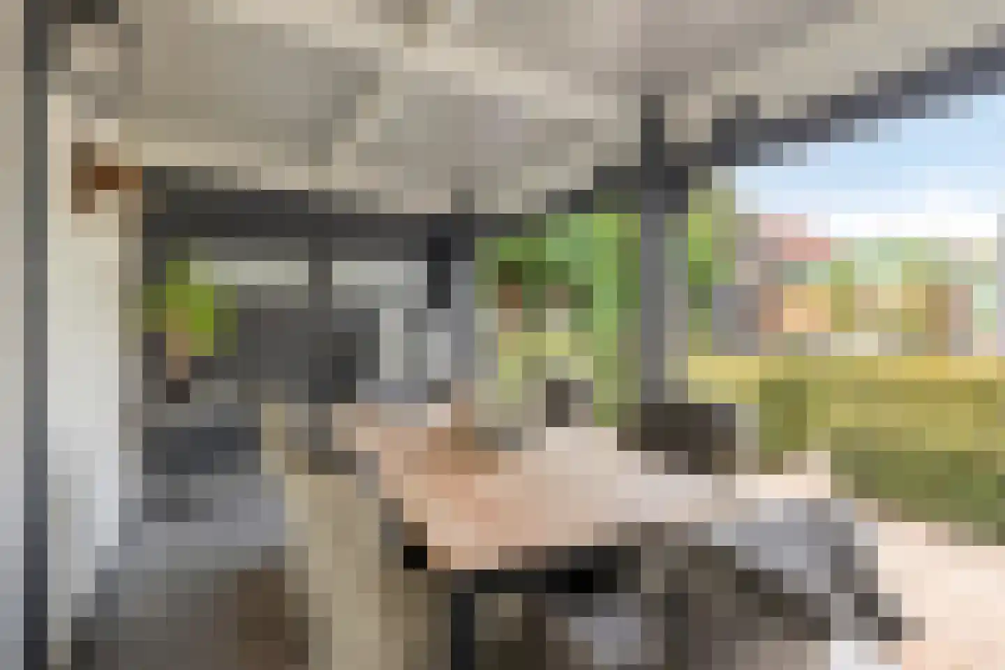 Kanunnik Daemenstraat 20 Mierlo thumbnail 44