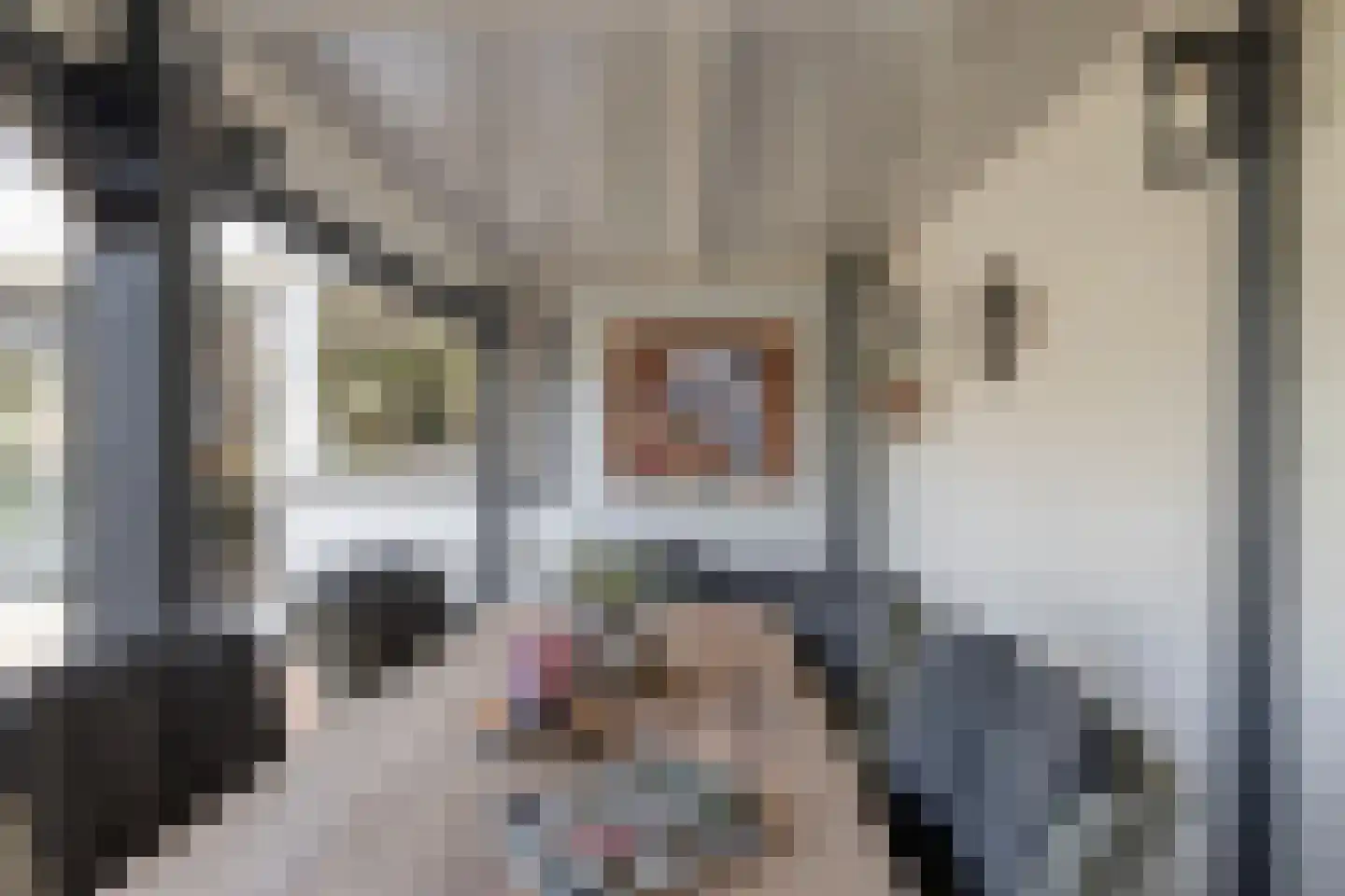 Kanunnik Daemenstraat 20 Mierlo thumbnail 45