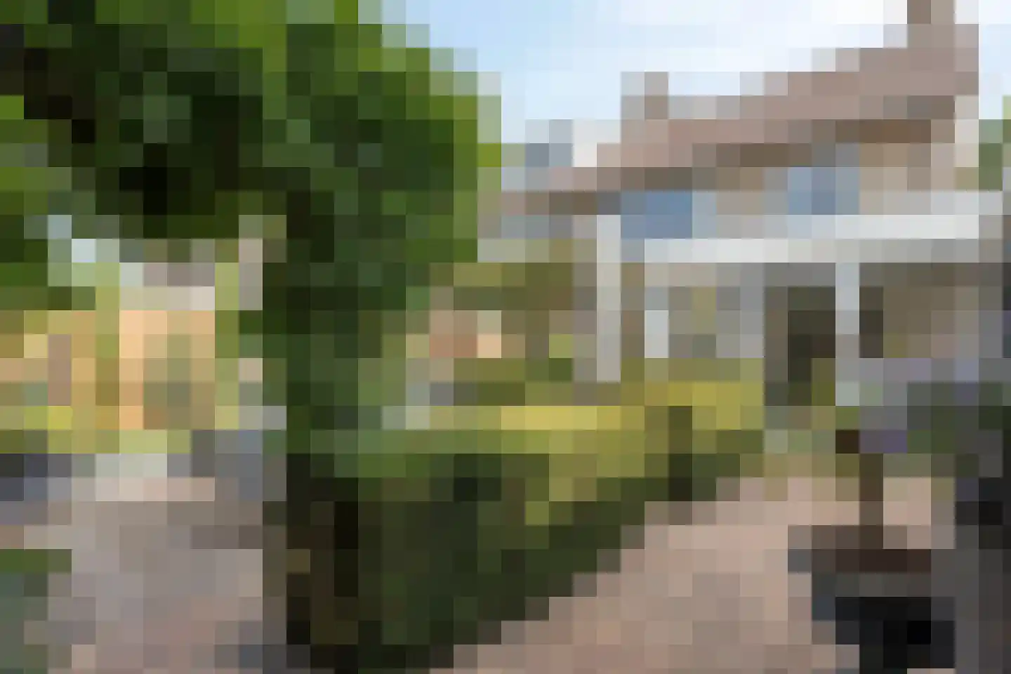Kanunnik Daemenstraat 20 Mierlo thumbnail 47