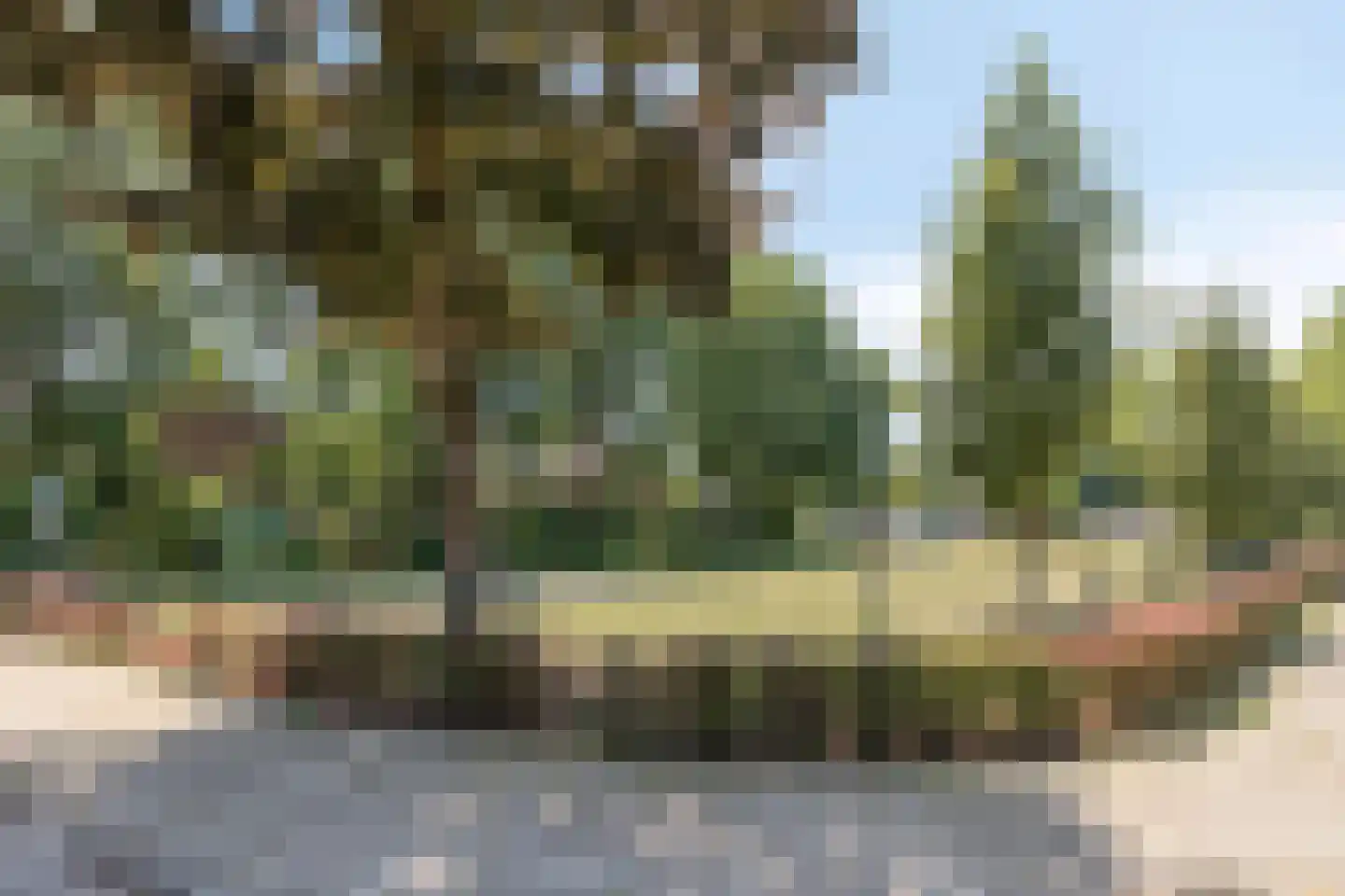 Kanunnik Daemenstraat 20 Mierlo thumbnail 49