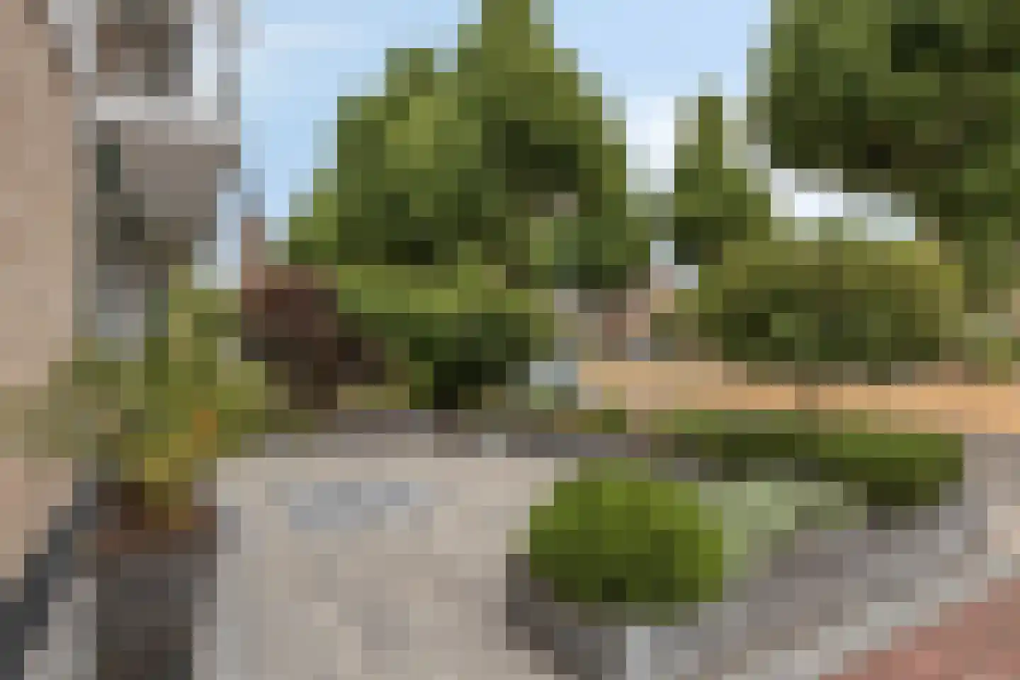 Kanunnik Daemenstraat 20 Mierlo thumbnail 9