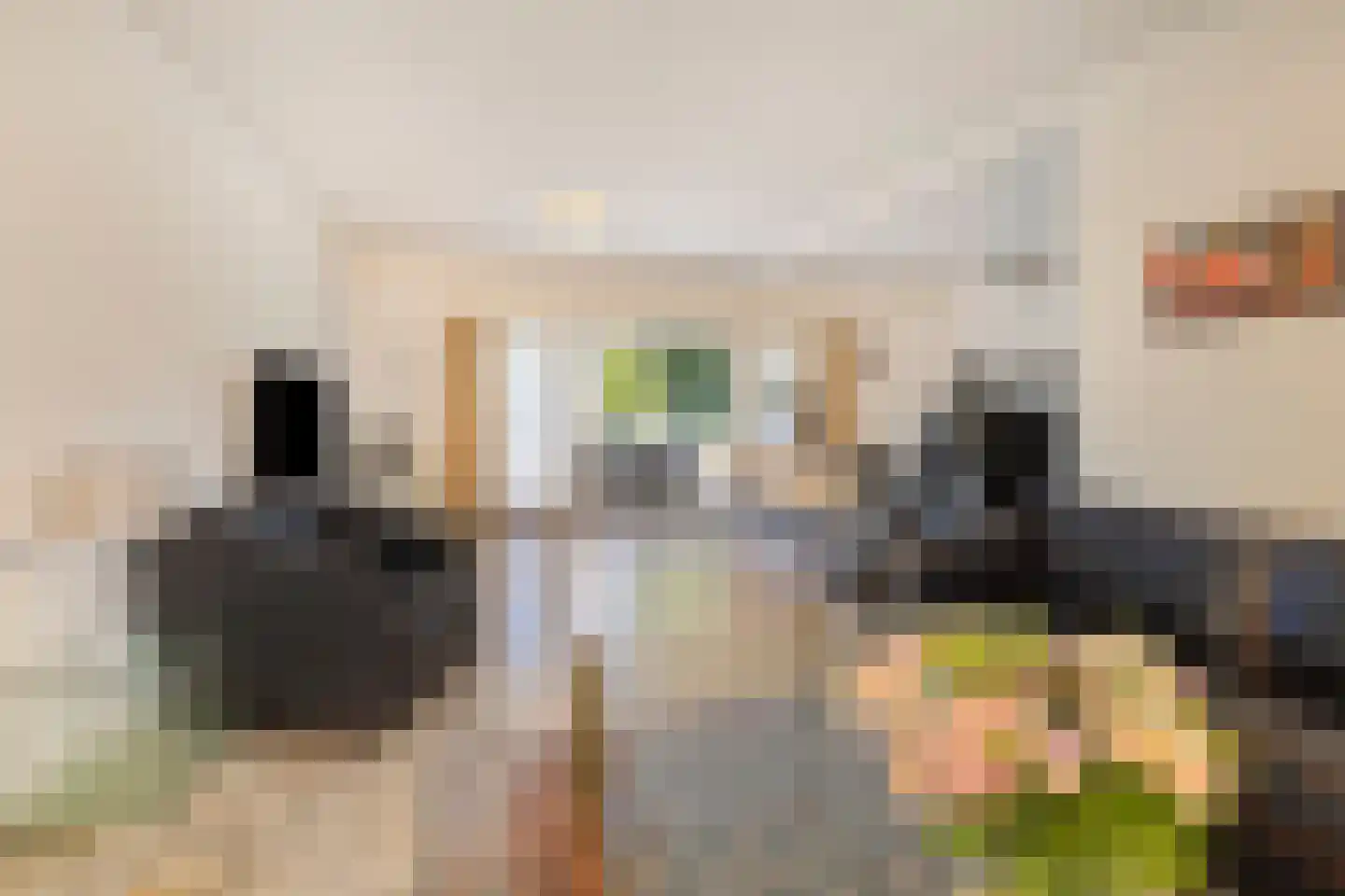 Kanunnik Daemenstraat 36 Mierlo thumbnail 14