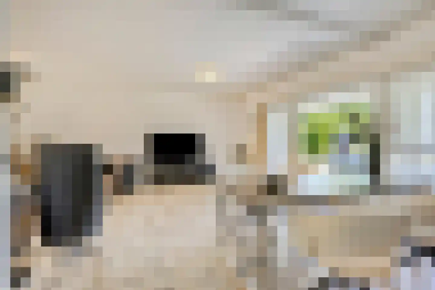 Kanunnik Daemenstraat 36 Mierlo thumbnail 16