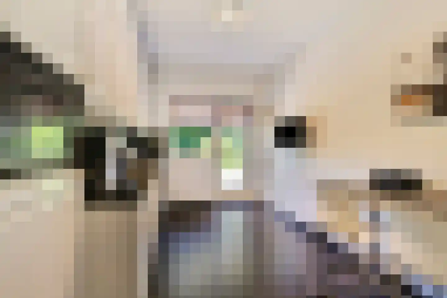 Kanunnik Daemenstraat 36 Mierlo thumbnail 17
