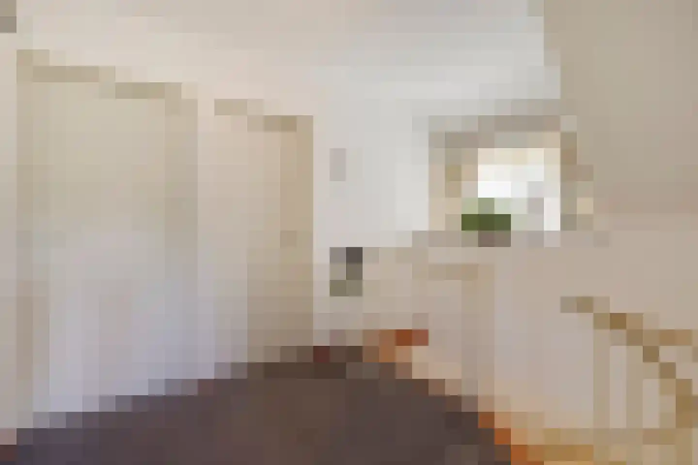 Kanunnik Daemenstraat 36 Mierlo thumbnail 21