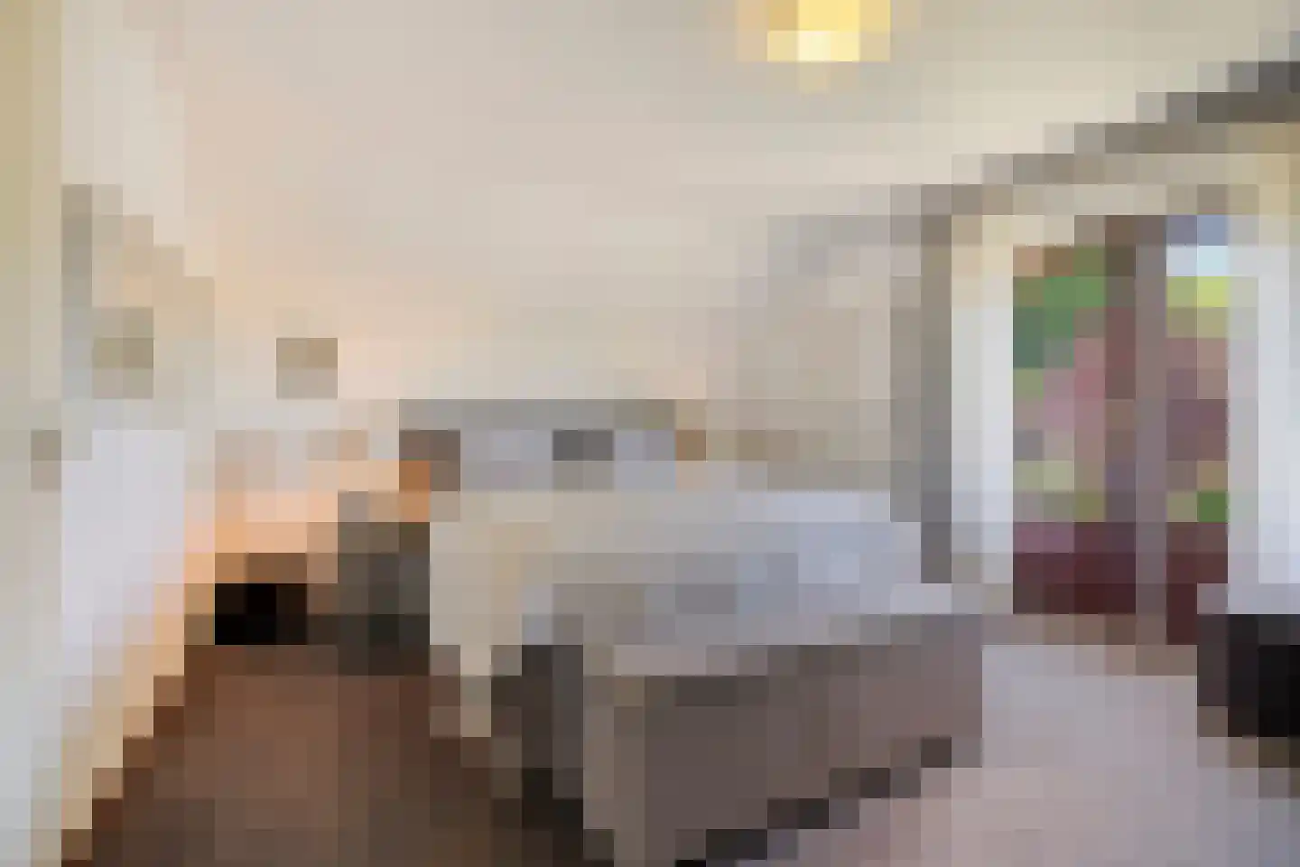 Kanunnik Daemenstraat 36 Mierlo thumbnail 22