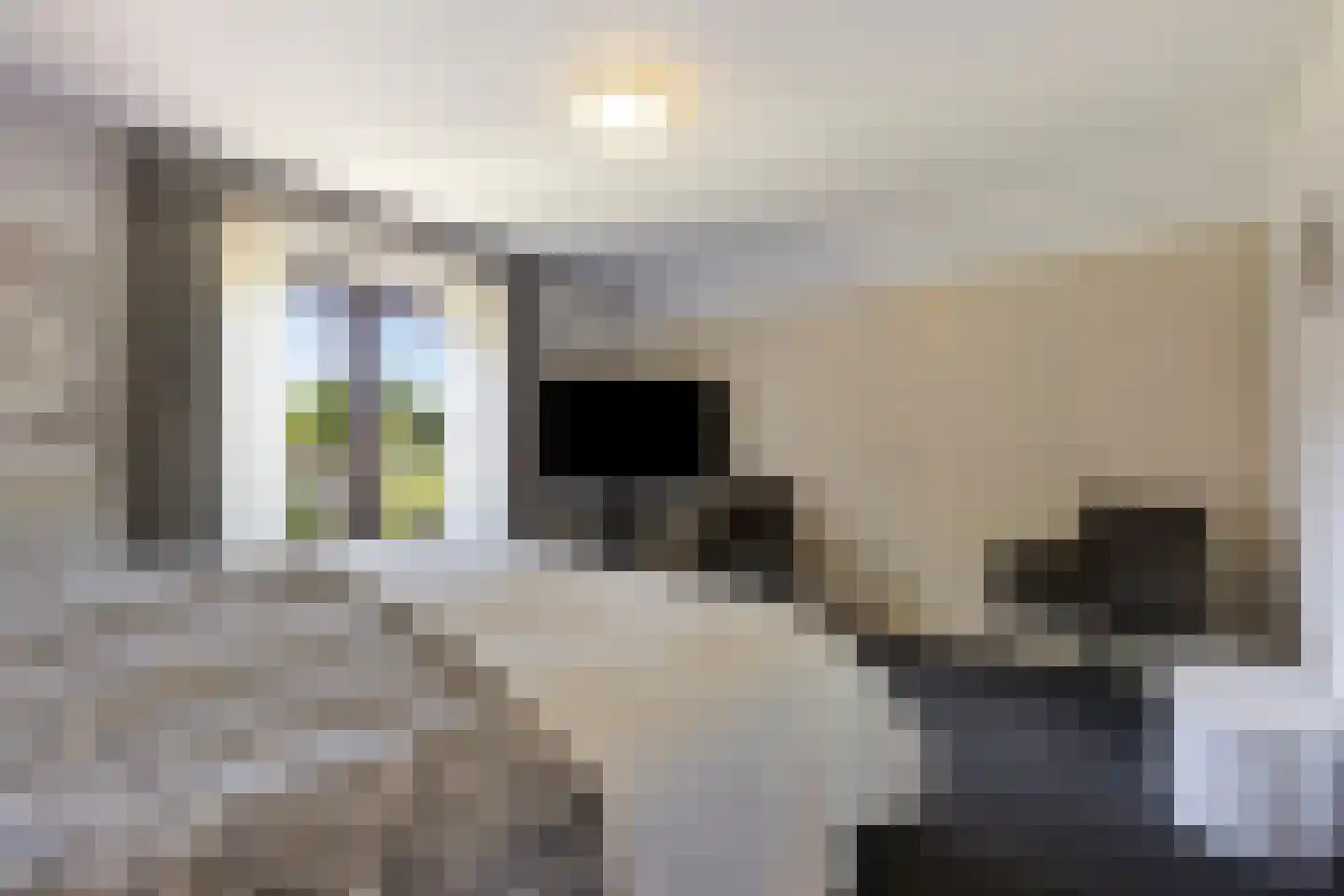 Kanunnik Daemenstraat 36 Mierlo thumbnail 23