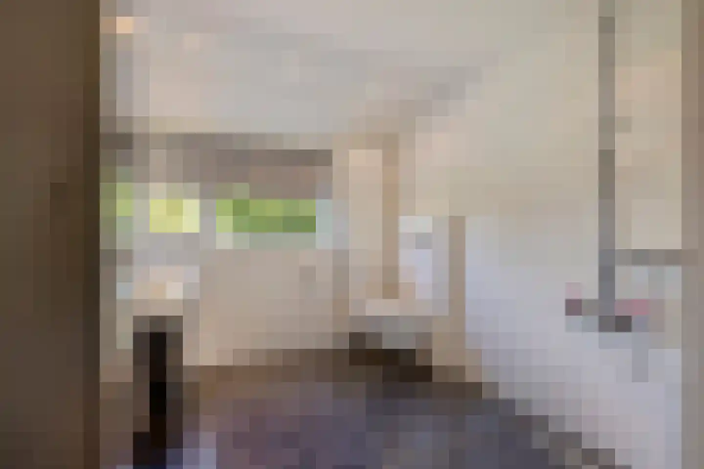 Kanunnik Daemenstraat 36 Mierlo thumbnail 24