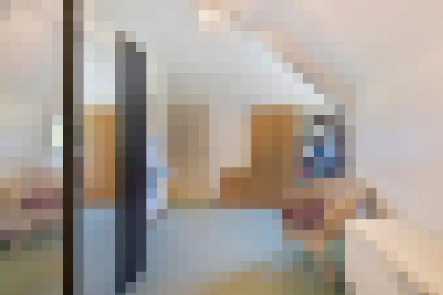 Kanunnik Daemenstraat 36 Mierlo thumbnail 26