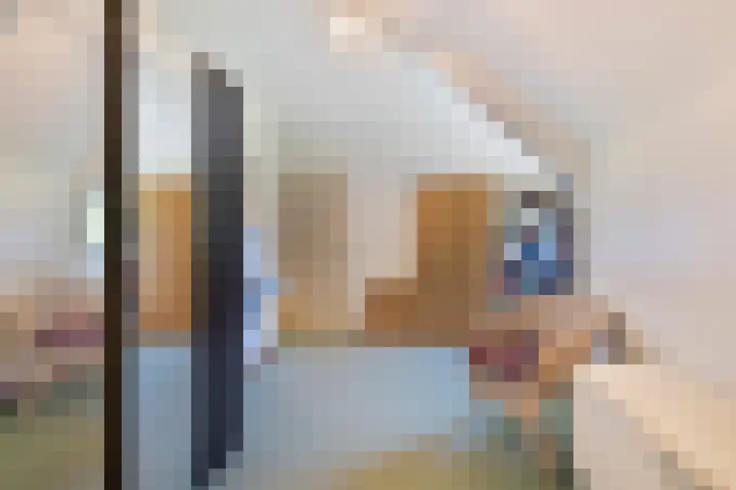Kanunnik Daemenstraat 36 Mierlo thumbnail 27