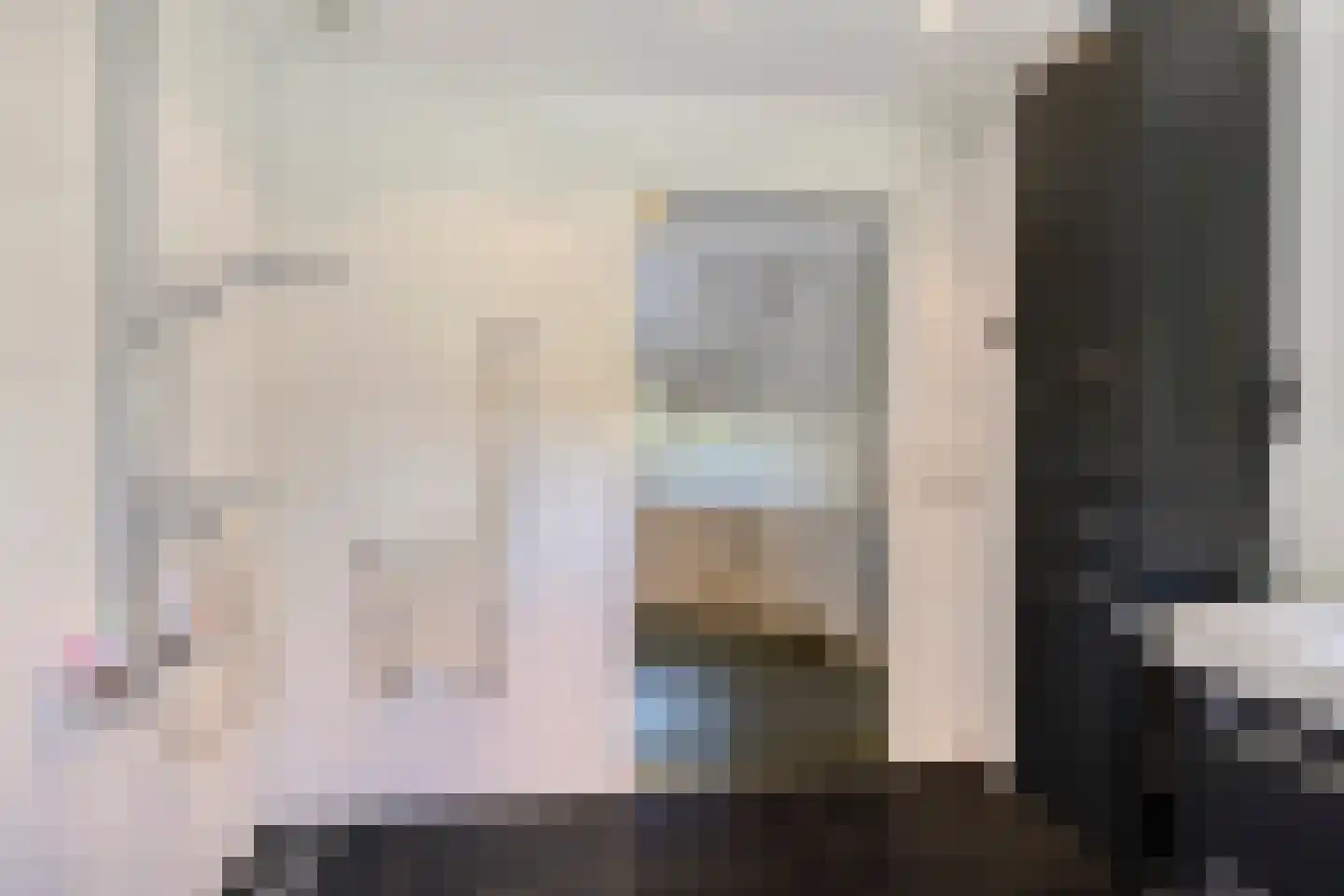 Kanunnik Daemenstraat 36 Mierlo thumbnail 28