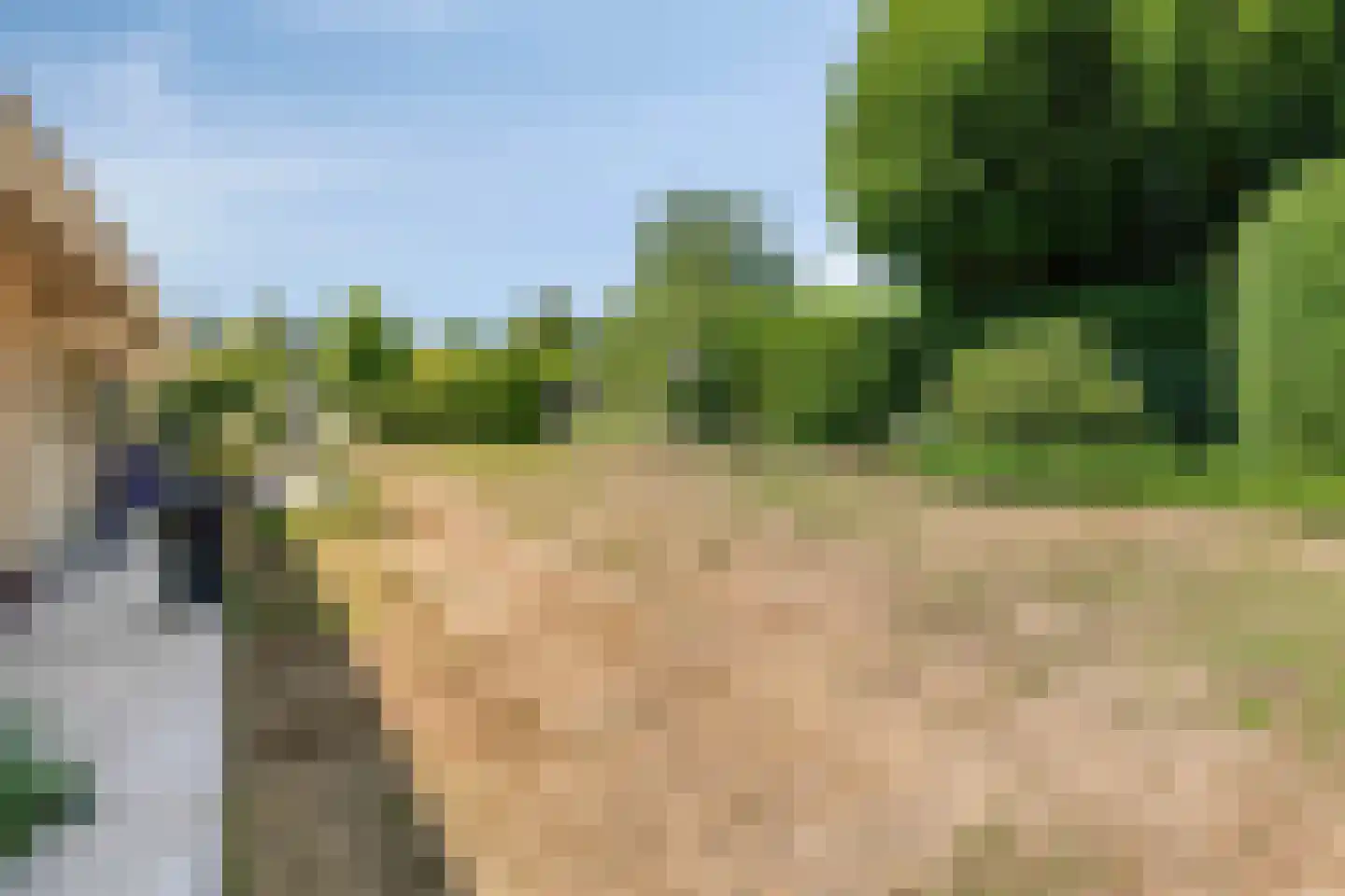 Kanunnik Daemenstraat 36 Mierlo thumbnail 36
