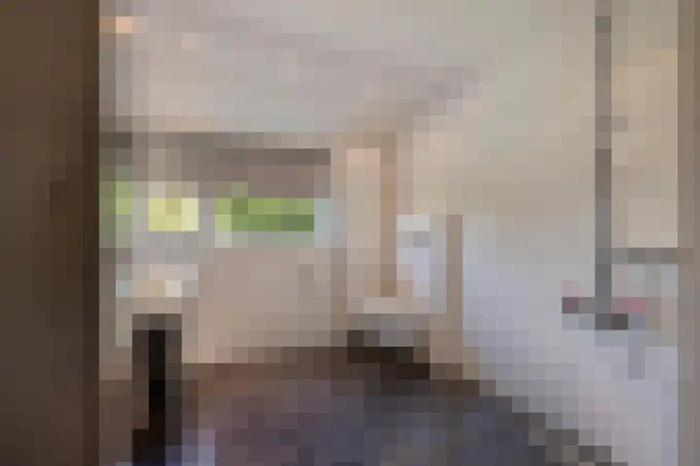 Kanunnik Daemenstraat 36 Mierlo thumbnail 5