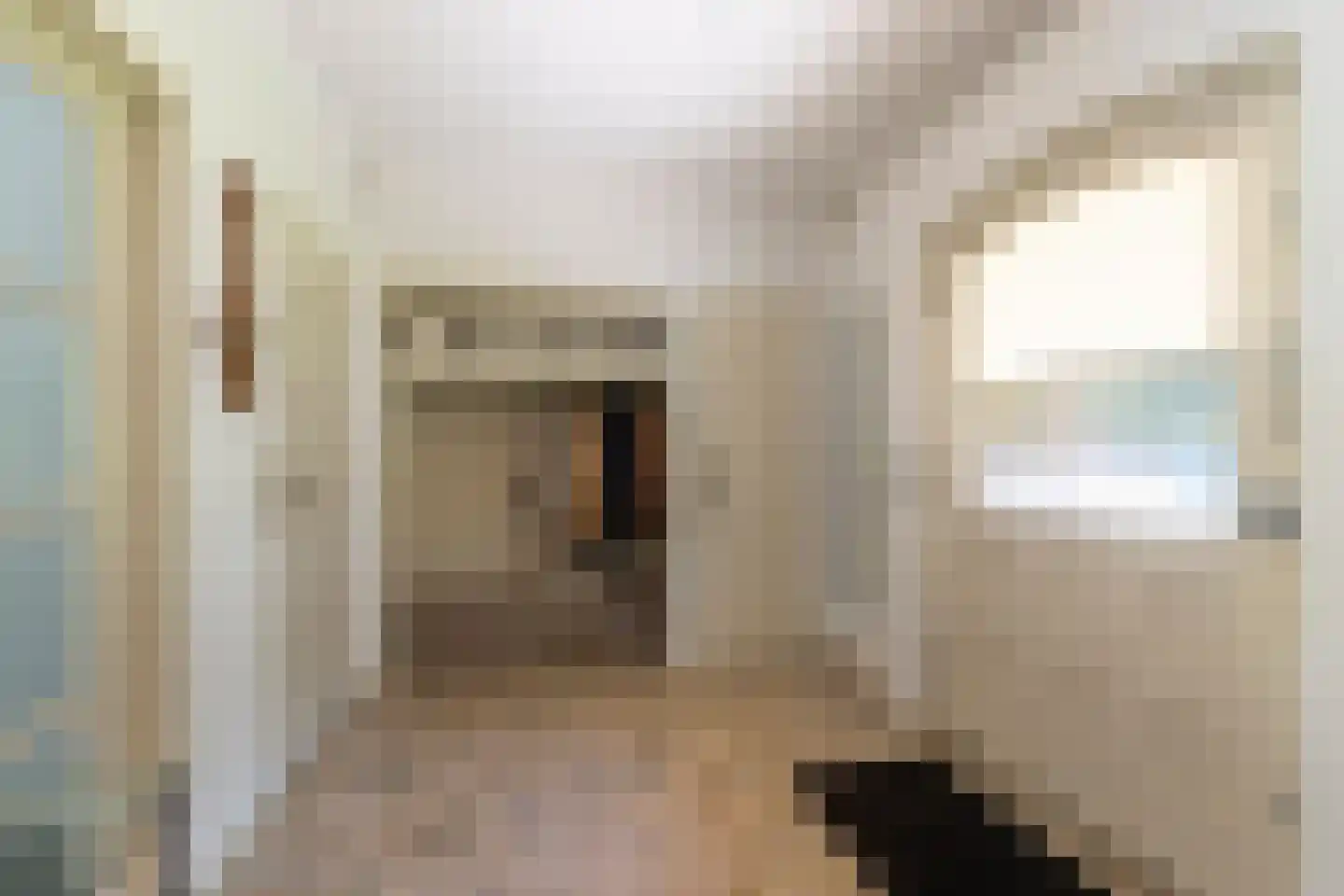 Kanunnik Daemenstraat 36 Mierlo thumbnail 9