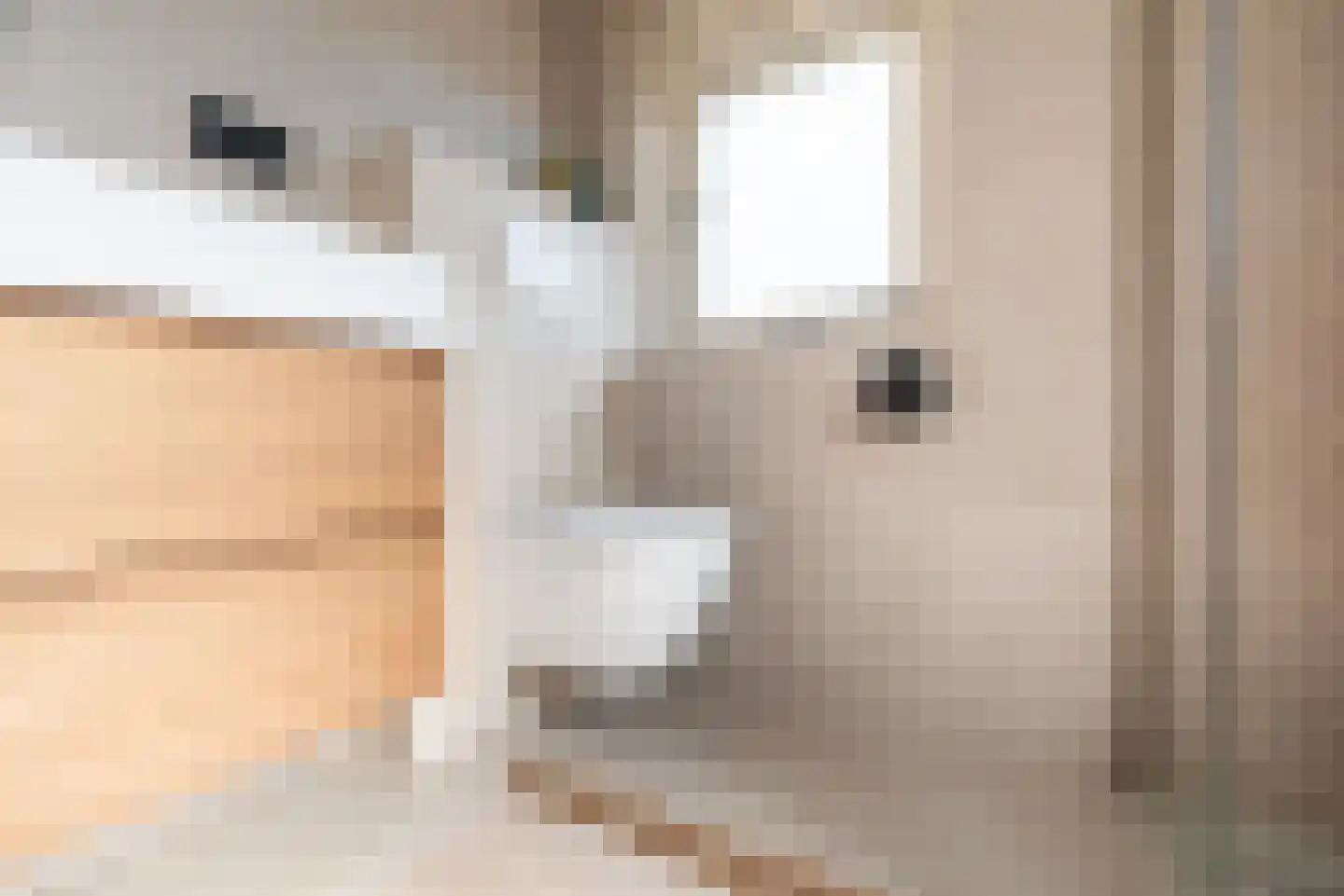 Kanunnik de Vriesstraat 4 Ulft thumbnail 22