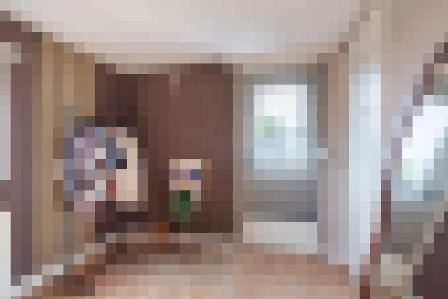 Kanunnik de Vriesstraat 4 Ulft thumbnail 25