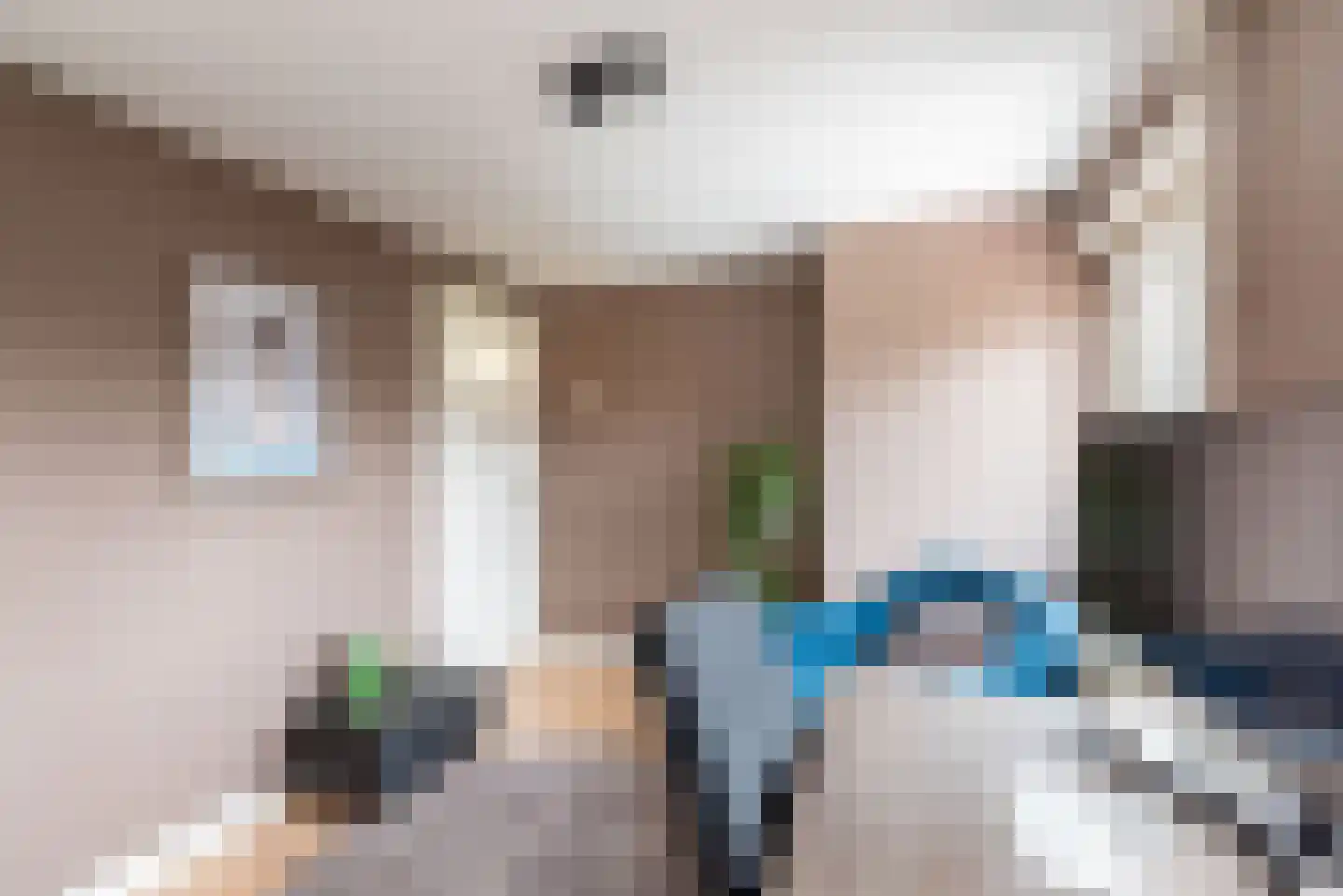 Kanunnik de Vriesstraat 4 Ulft thumbnail 28
