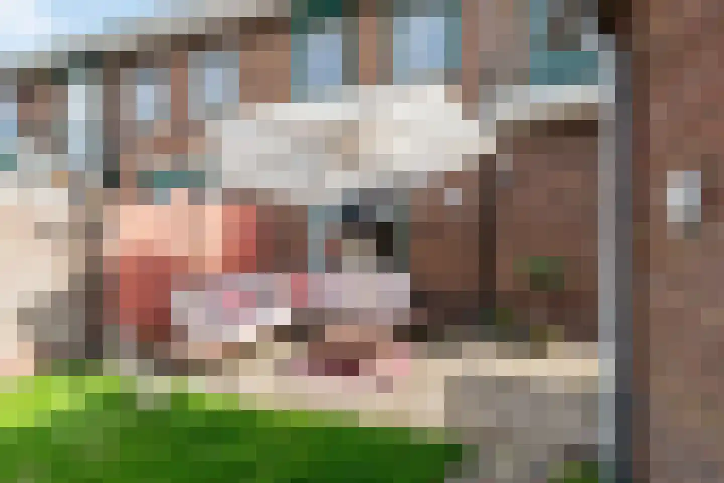 Kanunnik de Vriesstraat 4 Ulft thumbnail 30