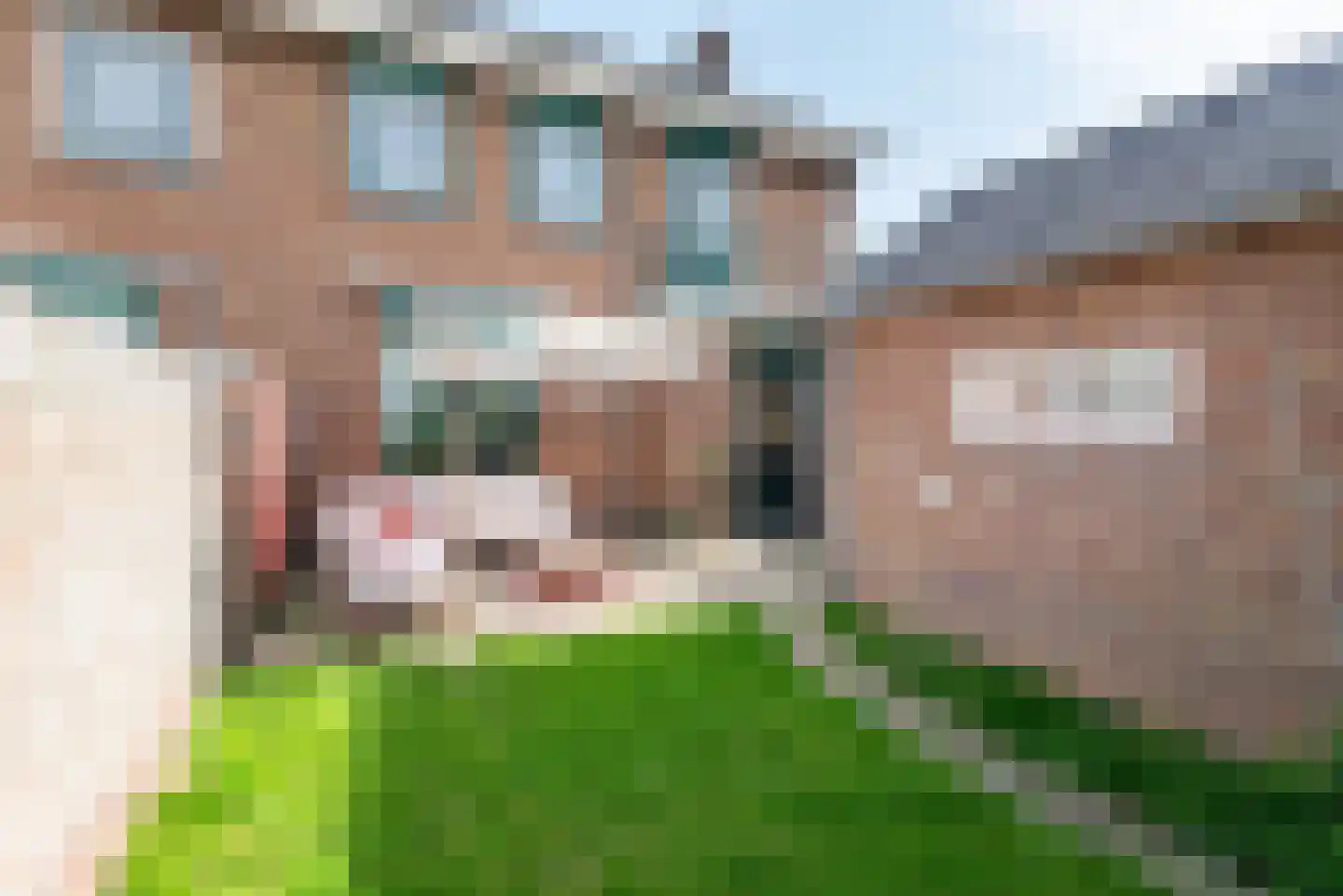 Kanunnik de Vriesstraat 4 Ulft thumbnail 5