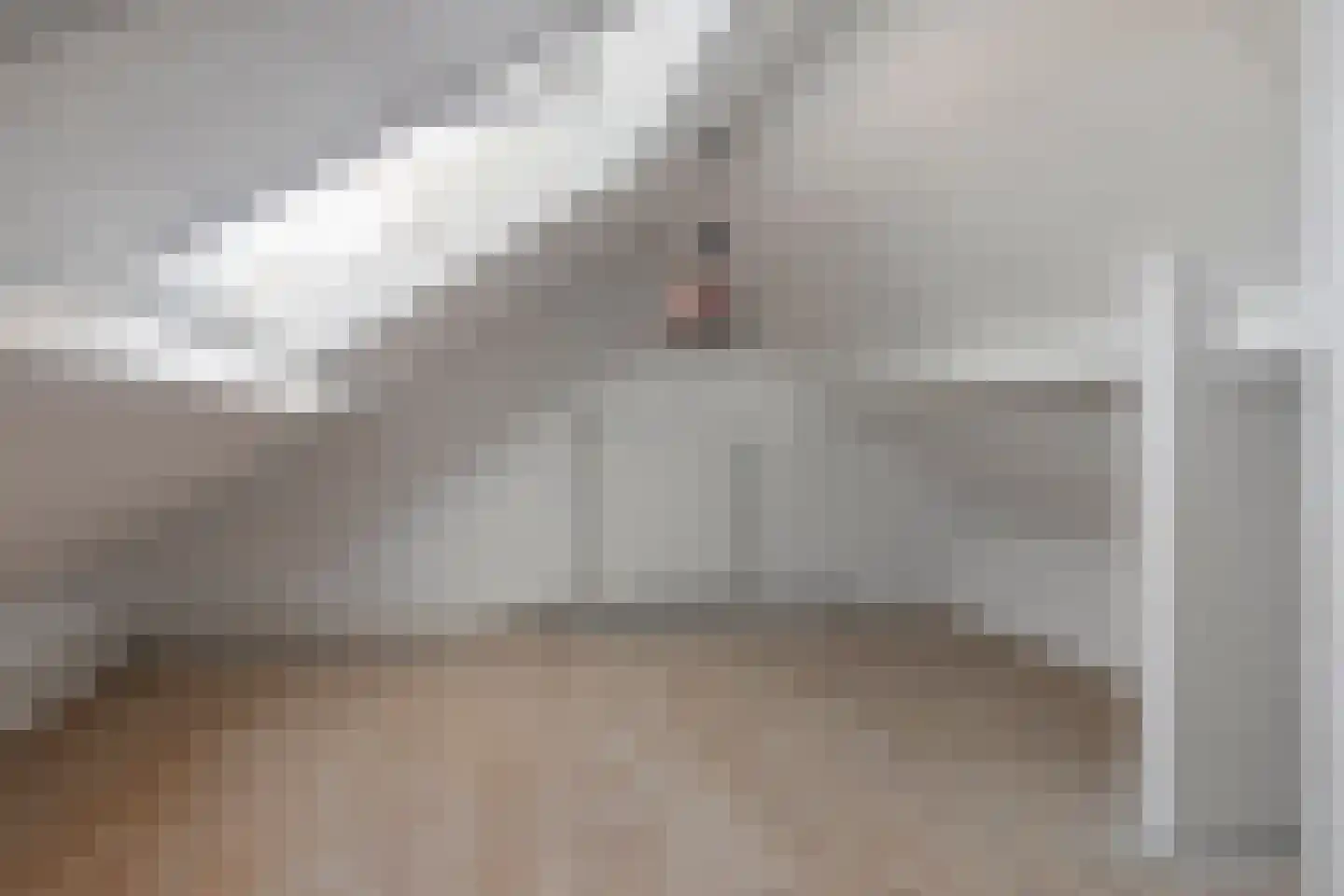 Kanunnik de Vriesstraat 6 Ulft thumbnail 13