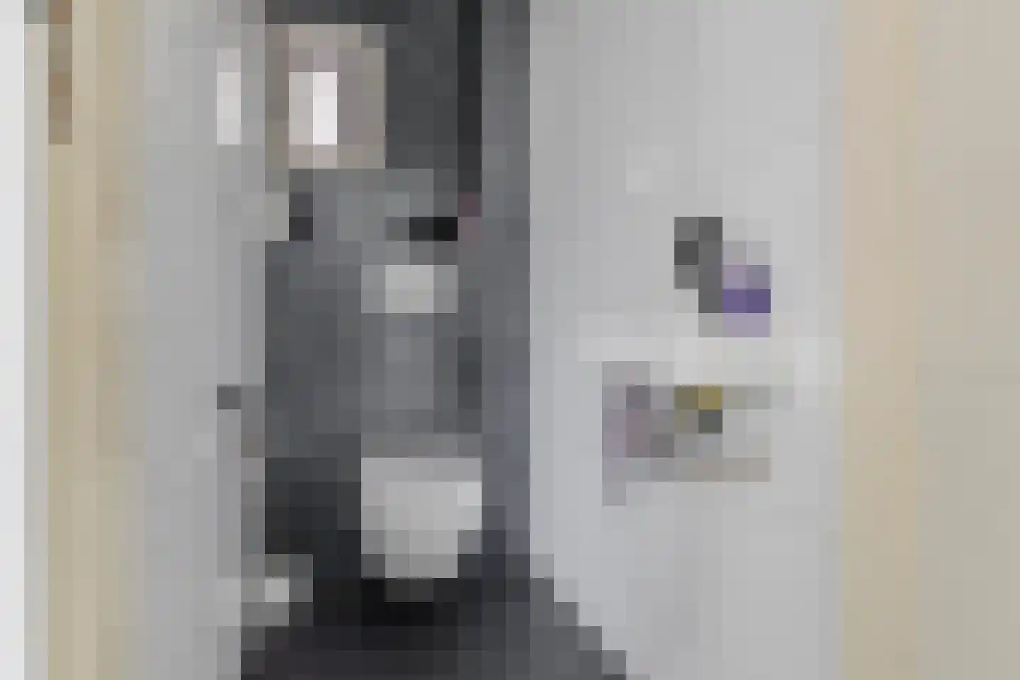 Kanunnik de Vriesstraat 6 Ulft thumbnail 17