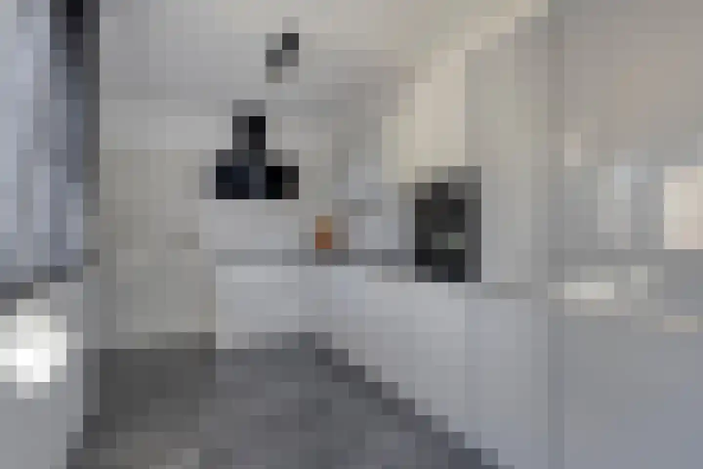 Kanunnik de Vriesstraat 6 Ulft thumbnail 25