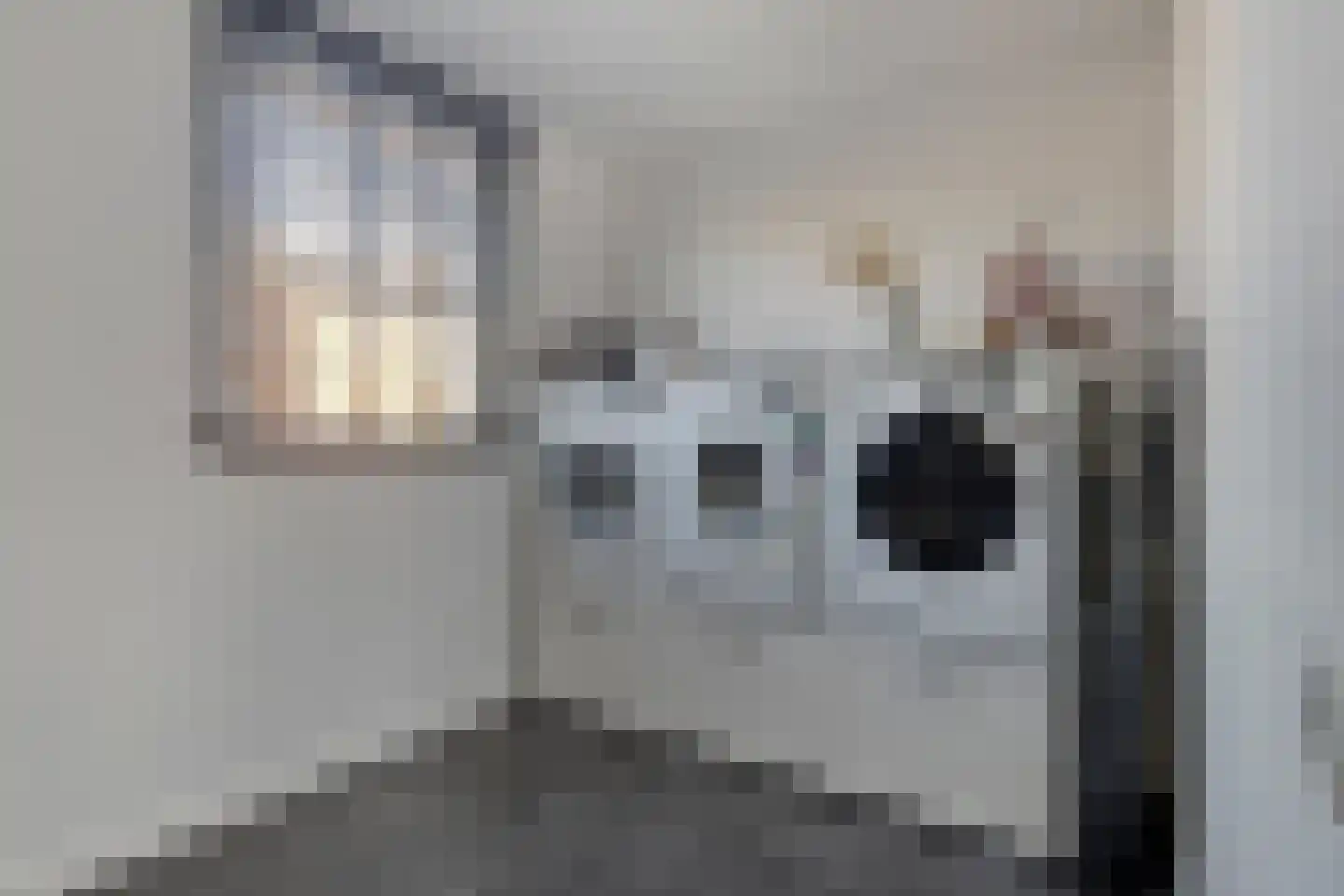 Kanunnik de Vriesstraat 6 Ulft thumbnail 27