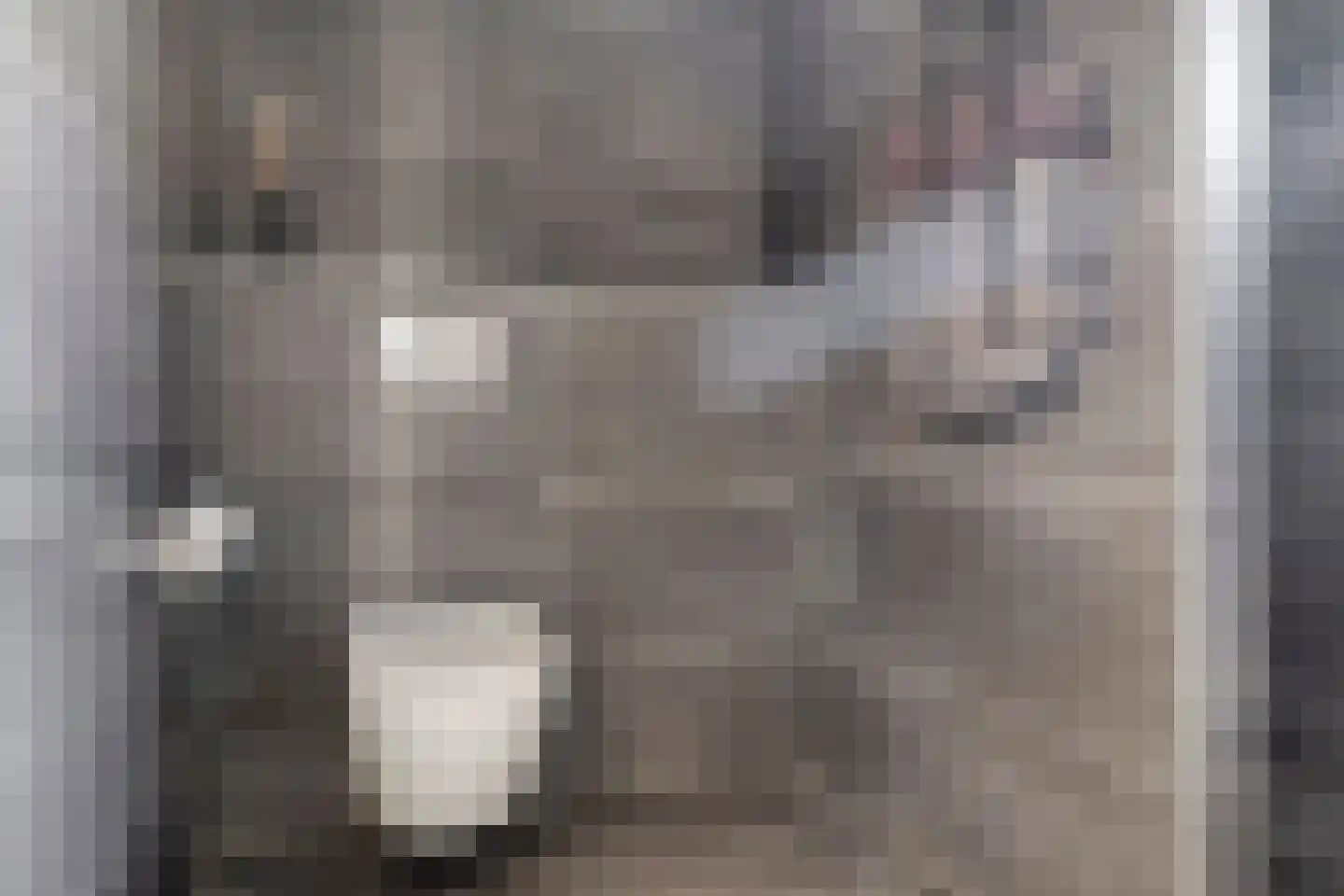 Kanunnik de Vriesstraat 6 Ulft thumbnail 29