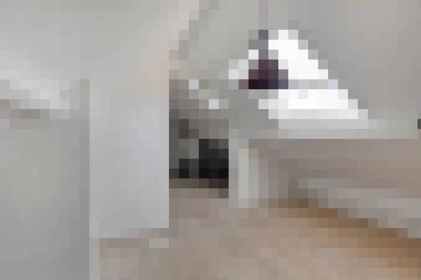 Kanunnik de Vriesstraat 6 Ulft thumbnail 32
