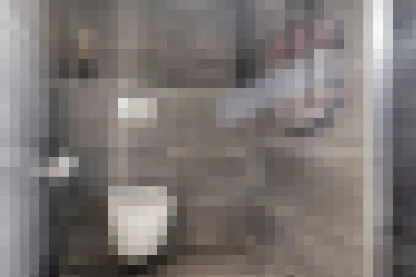 Kanunnik de Vriesstraat 6 Ulft thumbnail 38