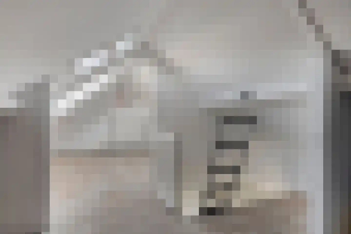 Kanunnik de Vriesstraat 6 Ulft thumbnail 39