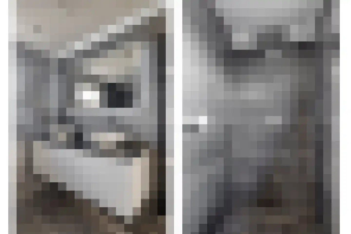 Kanunnik de Vriesstraat 6 Ulft thumbnail 4