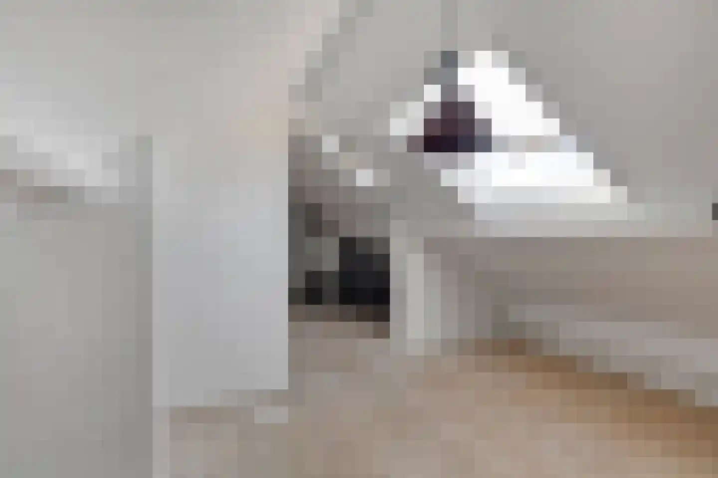 Kanunnik de Vriesstraat 6 Ulft thumbnail 41