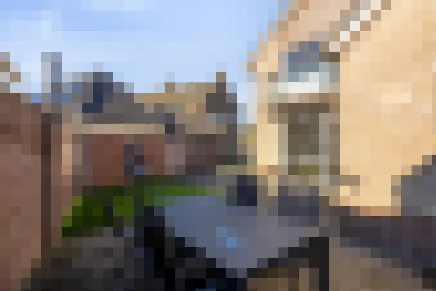 Kanunnik de Vriesstraat 6 Ulft thumbnail 48