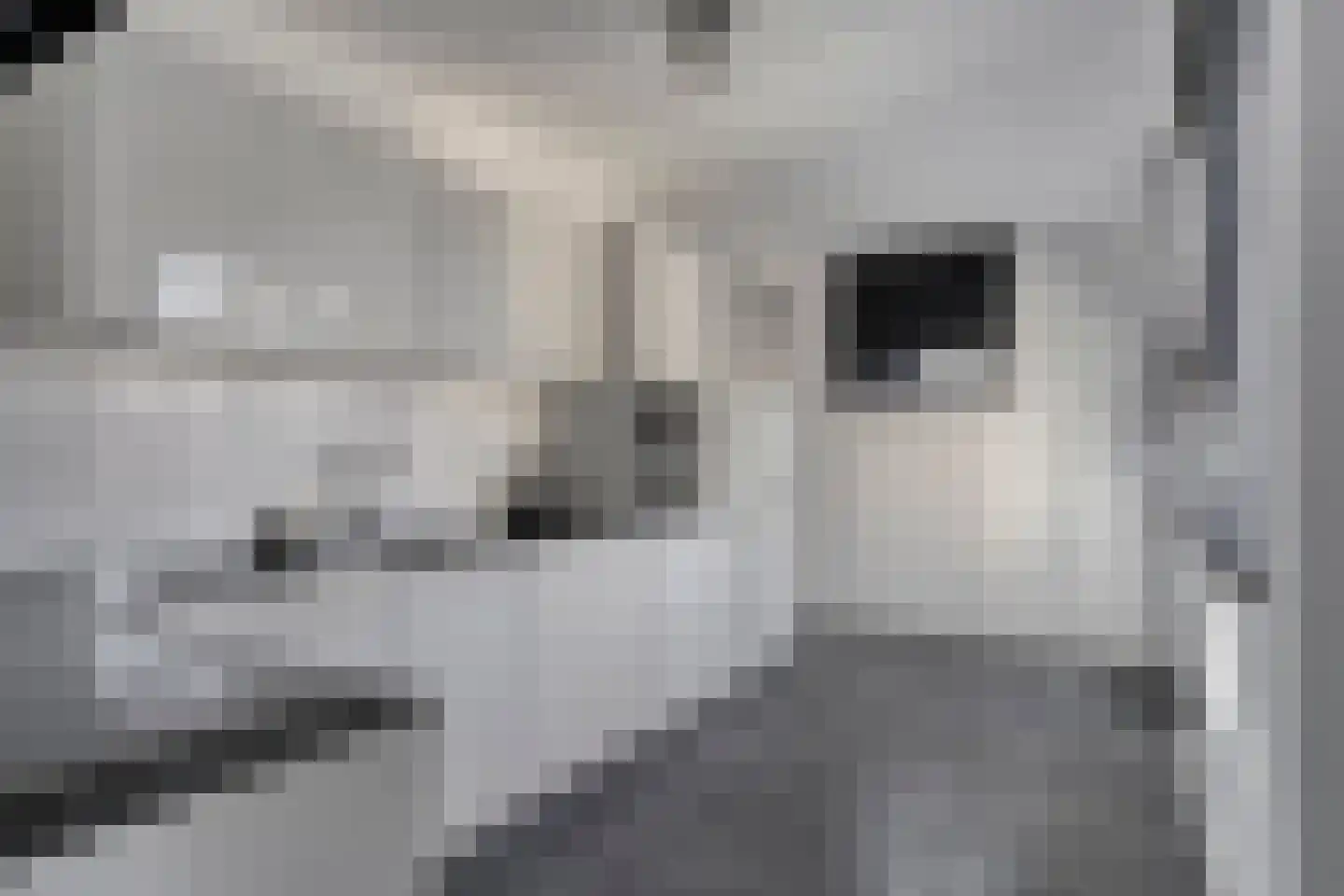 Kanunnik de Vriesstraat 6 Ulft thumbnail 6
