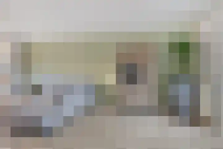 Kanunnik de Vriesstraat 8 Ulft thumbnail 11