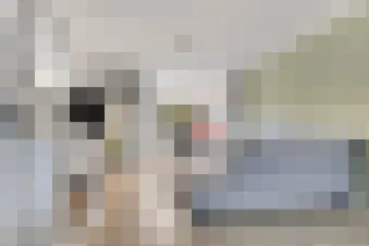 Kanunnik de Vriesstraat 8 Ulft thumbnail 12