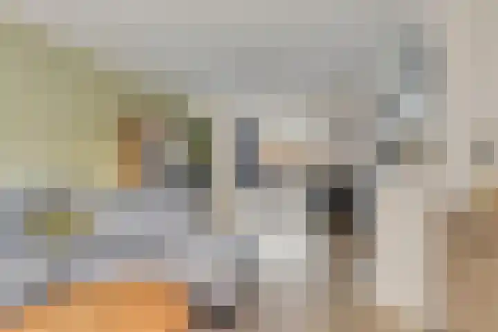Kanunnik de Vriesstraat 8 Ulft thumbnail 13
