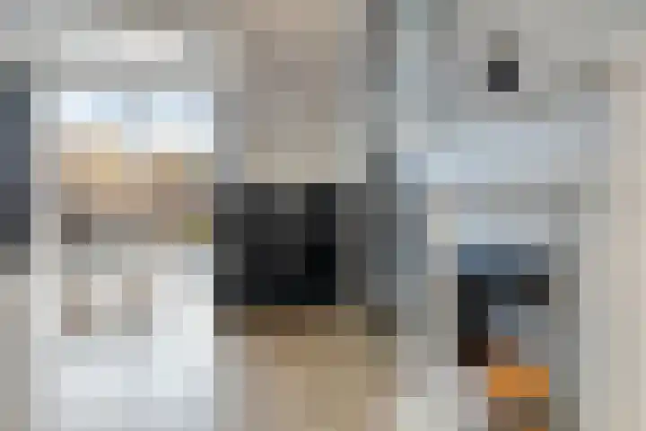 Kanunnik de Vriesstraat 8 Ulft thumbnail 15