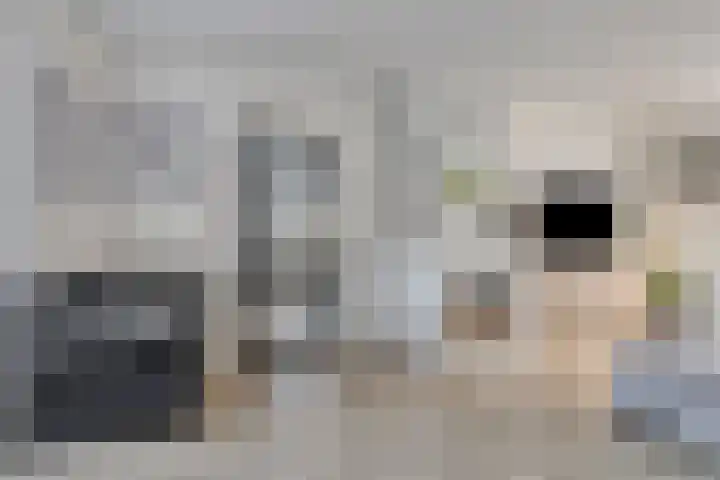 Kanunnik de Vriesstraat 8 Ulft thumbnail 16