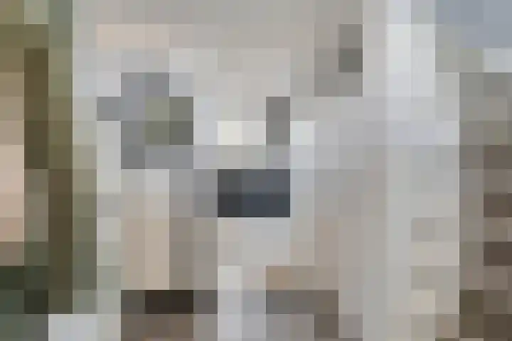 Kanunnik de Vriesstraat 8 Ulft thumbnail 27