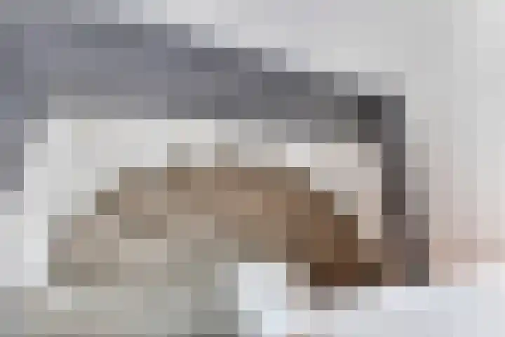 Kanunnik de Vriesstraat 8 Ulft thumbnail 28
