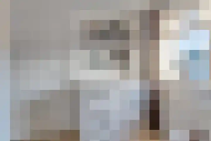 Kanunnik de Vriesstraat 8 Ulft thumbnail 37