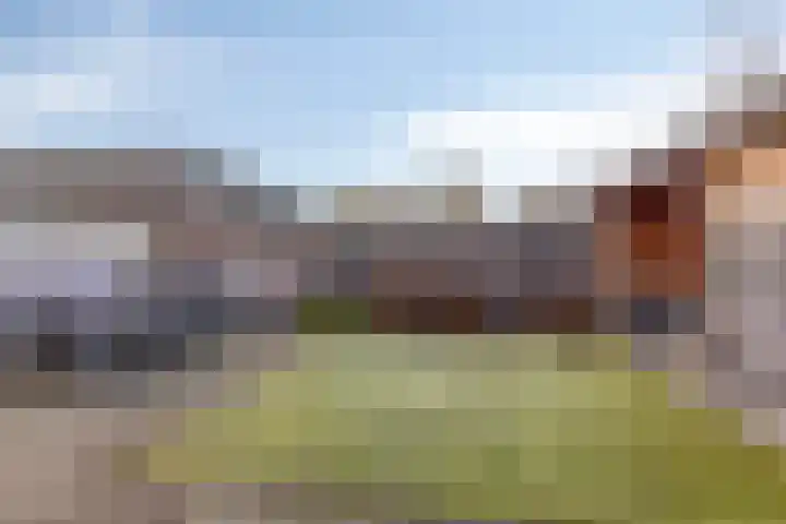 Kanunnik de Vriesstraat 8 Ulft thumbnail 4